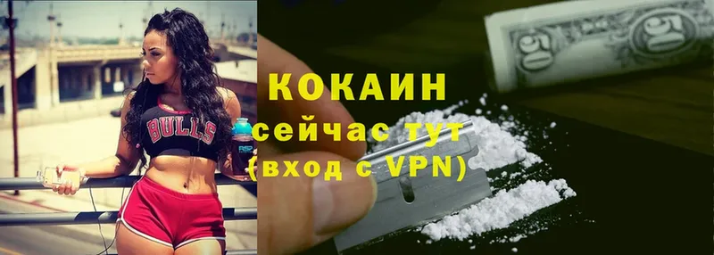 магазин продажи   ссылка на мегу рабочий сайт  Cocaine Fish Scale  Коломна 